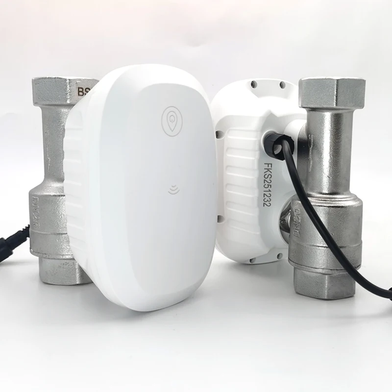 Home Assistant Tuya - 물 밸브 WiFi 스마트 제어 수류량
