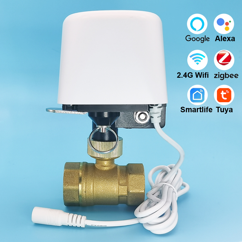 1/2인치 3/4인치 1인치 DN32 투야 지그비 와이 - Home Assistant Tuya 리뷰 및 가격