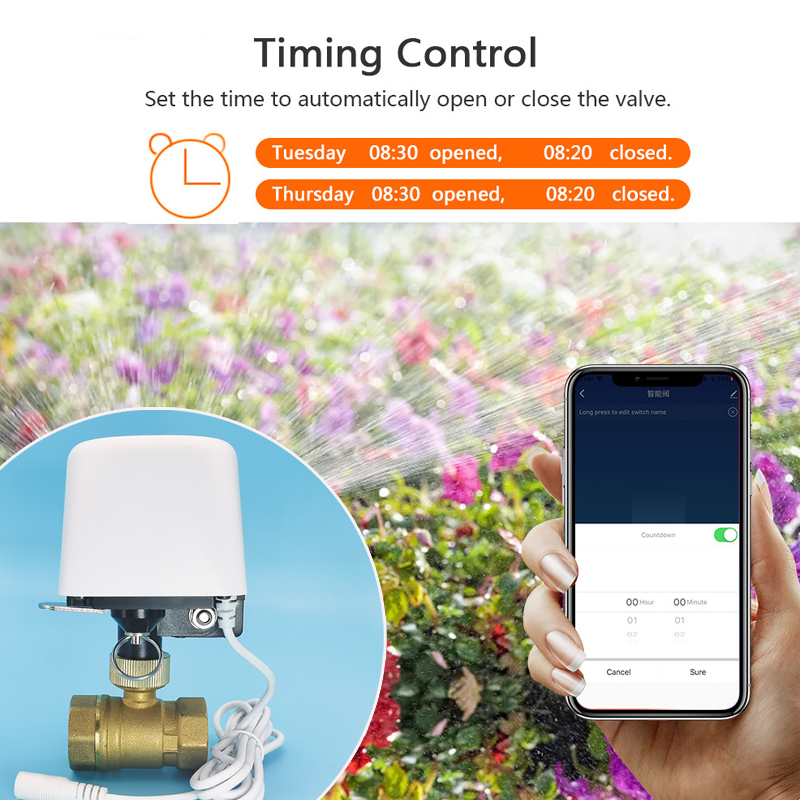 1/2인치 3/4인치 1인치 DN32 투야 지그비 와이 - Home Assistant Tuya 리뷰 및 가격