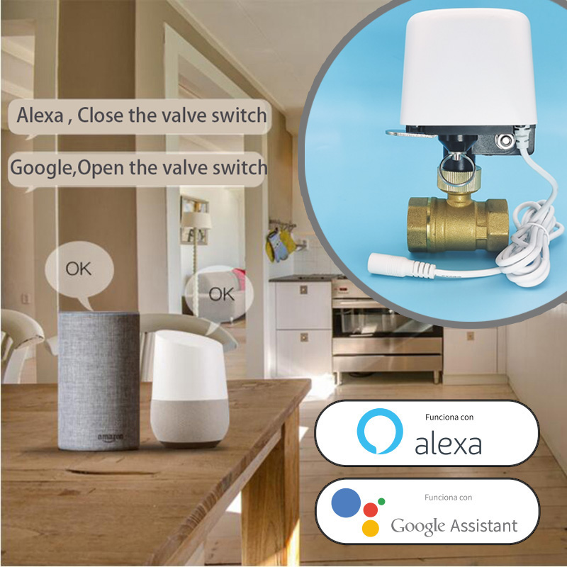 1/2인치 3/4인치 1인치 DN32 투야 지그비 와이 - Home Assistant Tuya 리뷰 및 가격