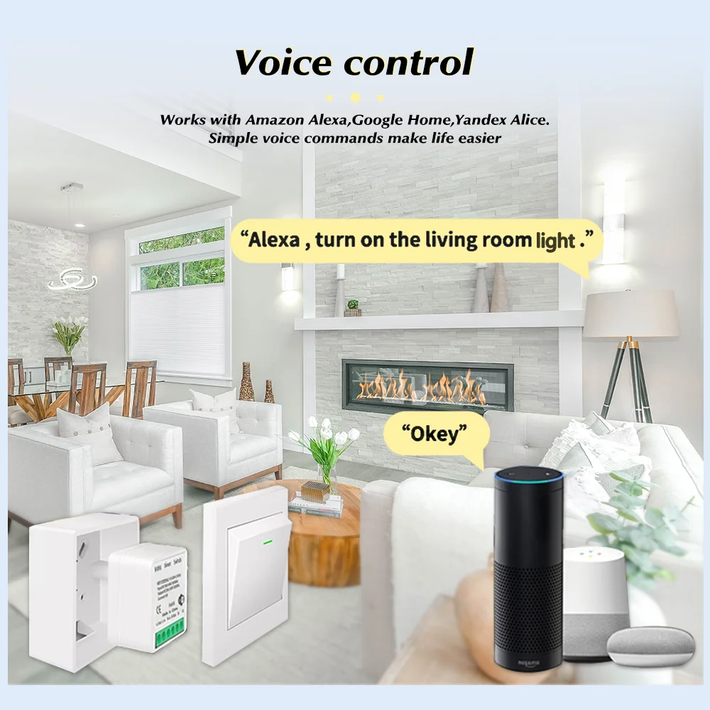 Tuya 미니 스마트 WiFi 스위치 16A Zigbe - Home Assistant Tuya 리뷰 및 가격