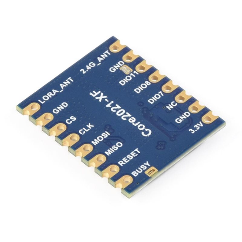 AA60 Core2021-LF 듀얼 밴드 LoRa 모듈 - Smart Home Module Iot 리뷰 및 가격