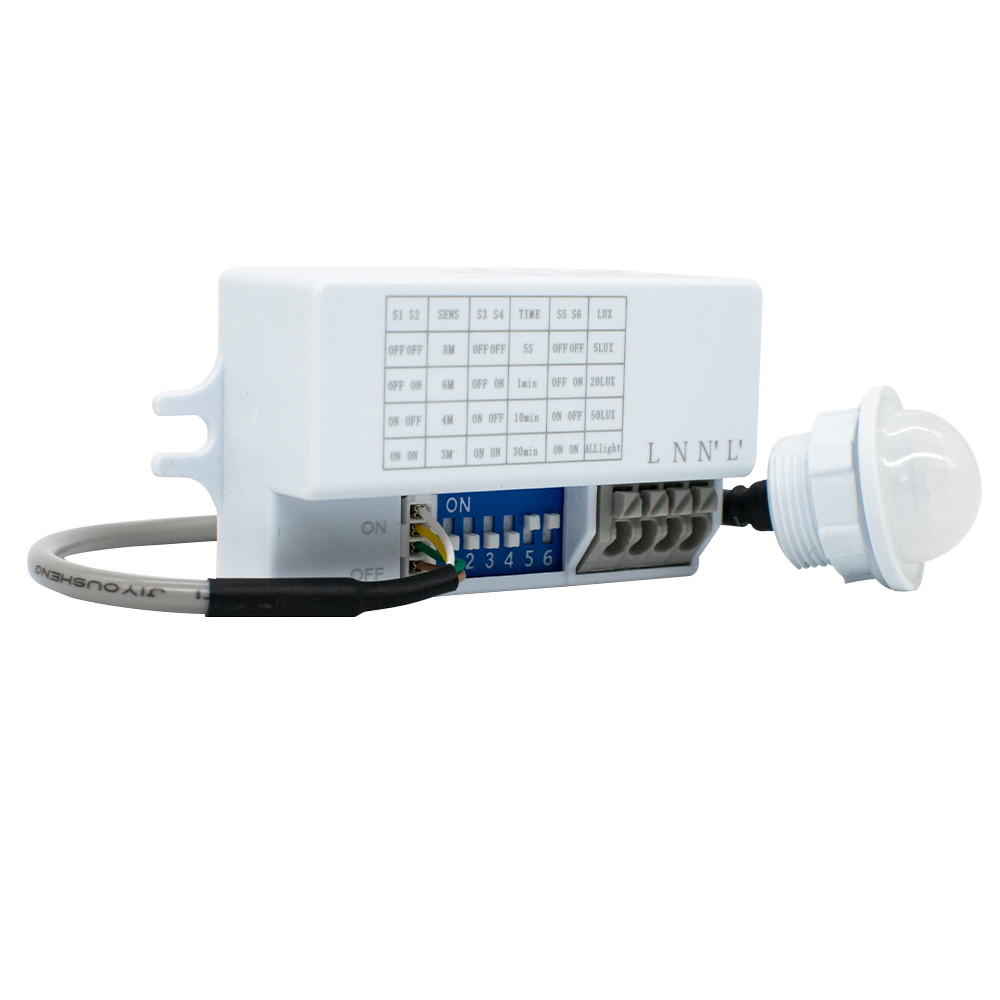 모션 센서 라이트 스위치 220V 110V PIR 존재 - Tasmota 리뷰 및 가격